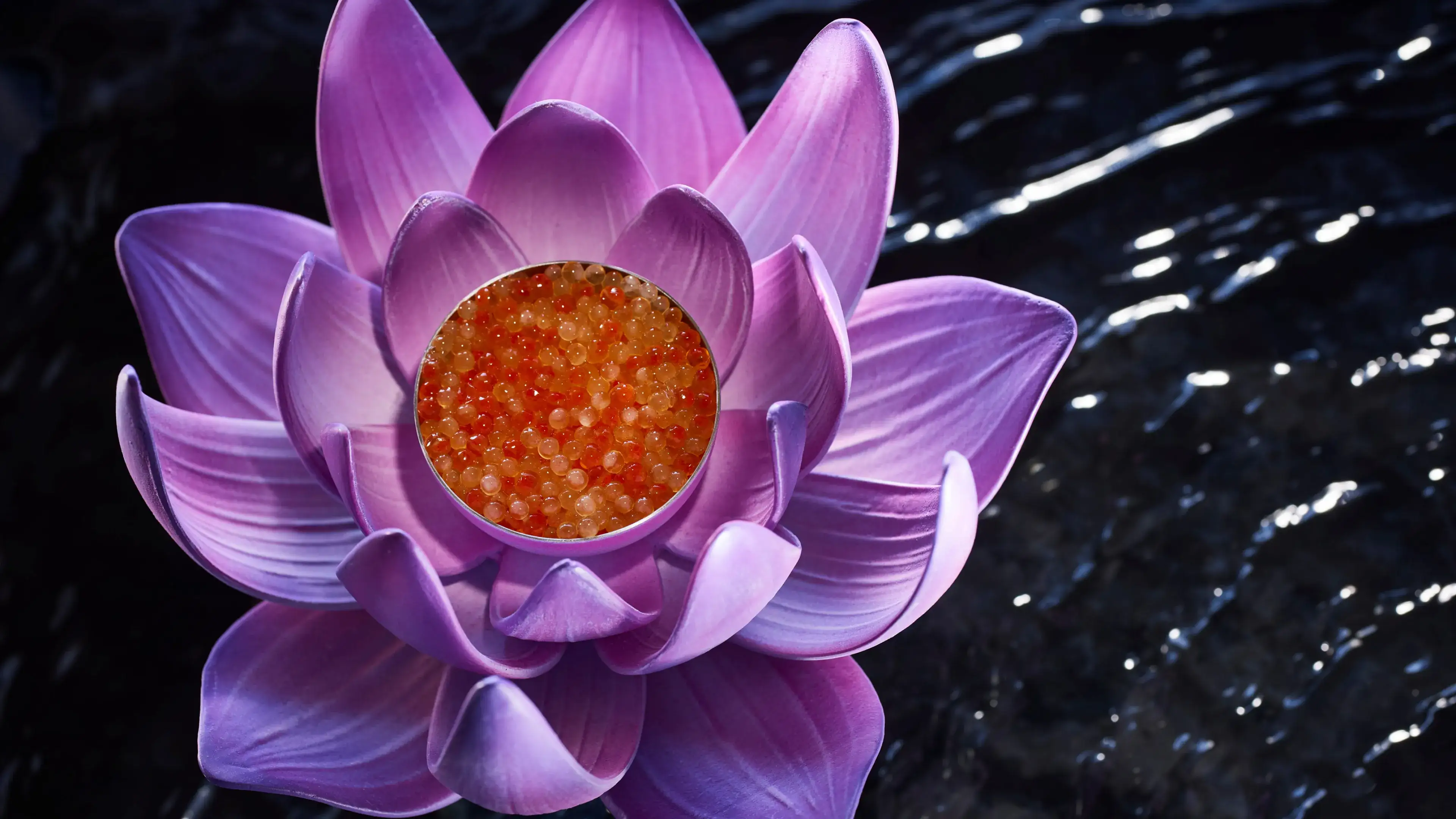 Asia Expedition: Lotus Flower.